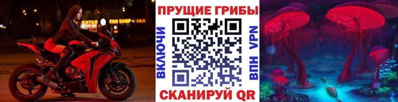 Купить закладки  Сосенский  Галлюциногенные грибы мицелий 
