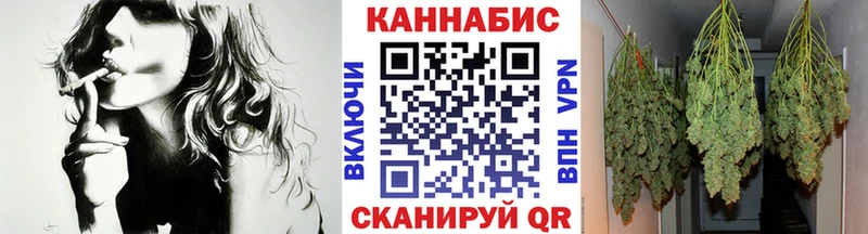 Купить Сосенский Бошки Шишки семена